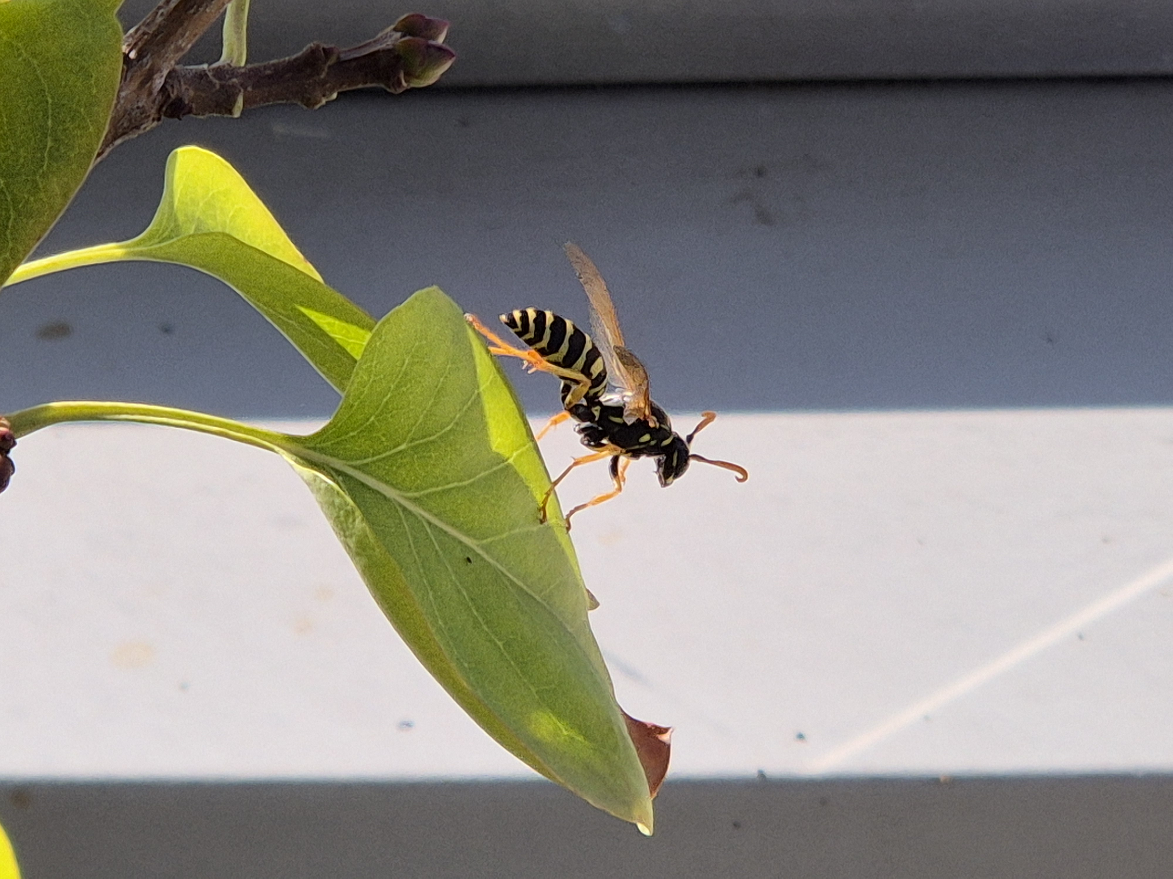 Aug_2026_105