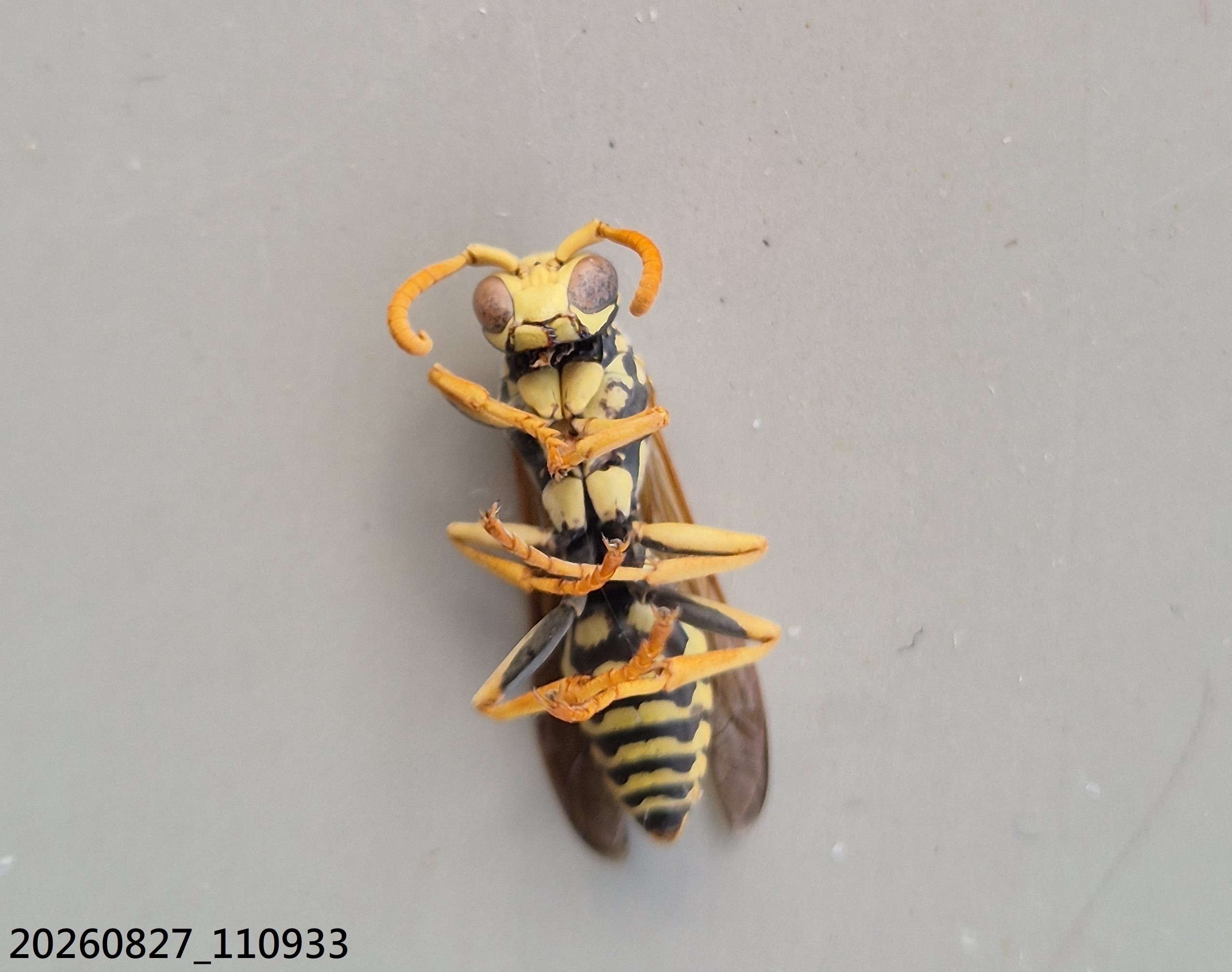 Aug_2026_139