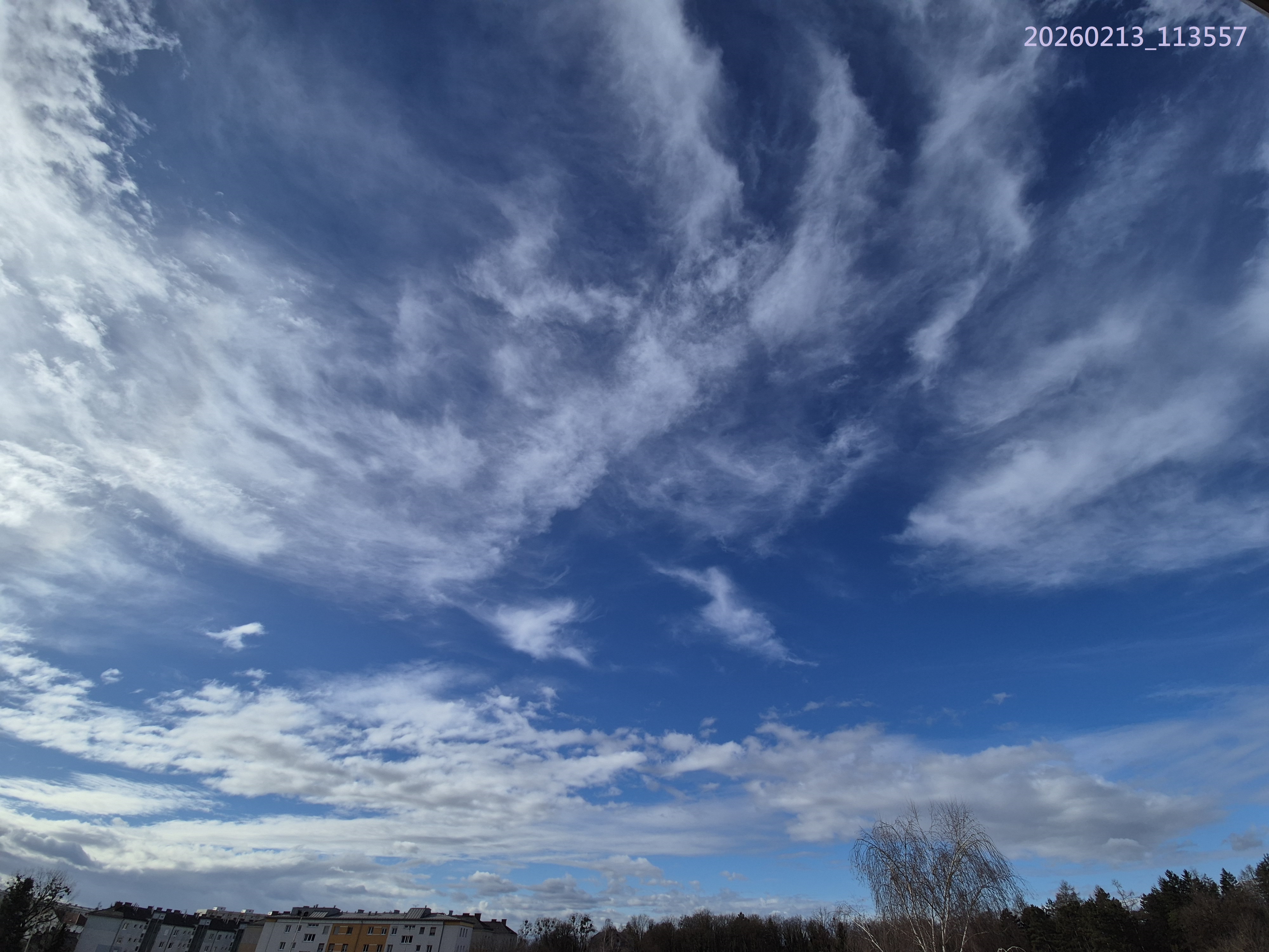 Ap_2026_8