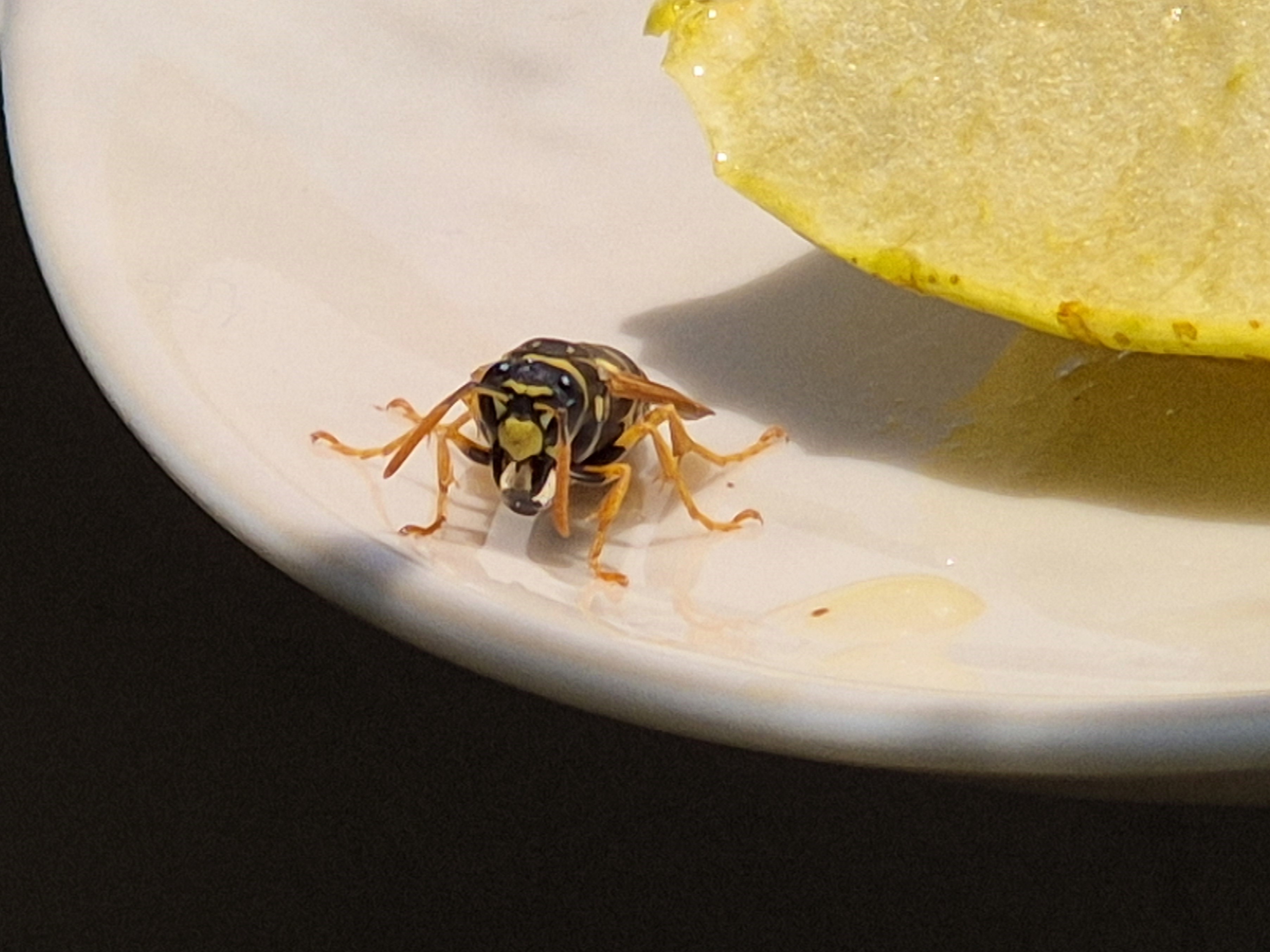 Juli_2026_93