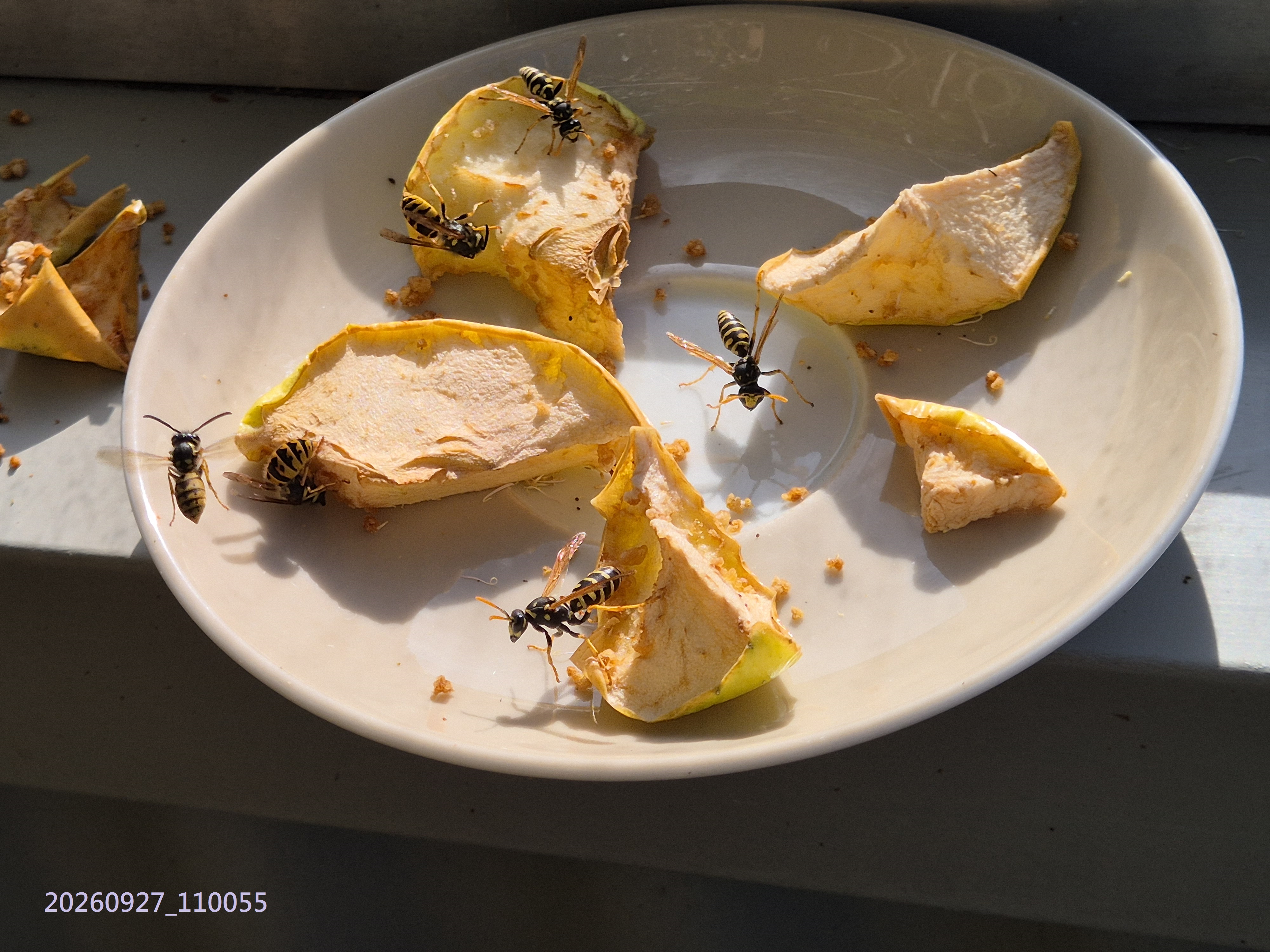 Sep_2026_68