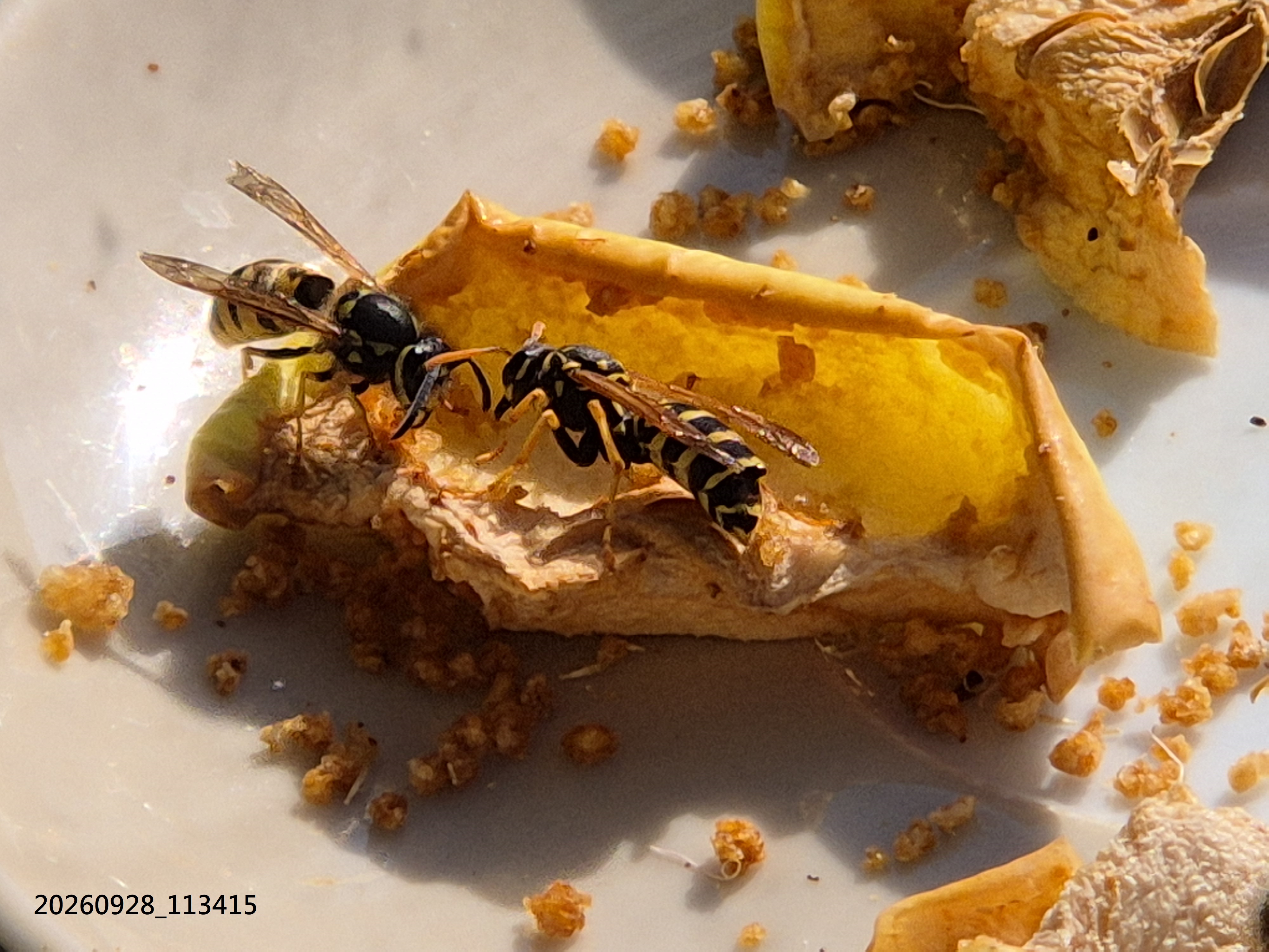 Sep_2026_69