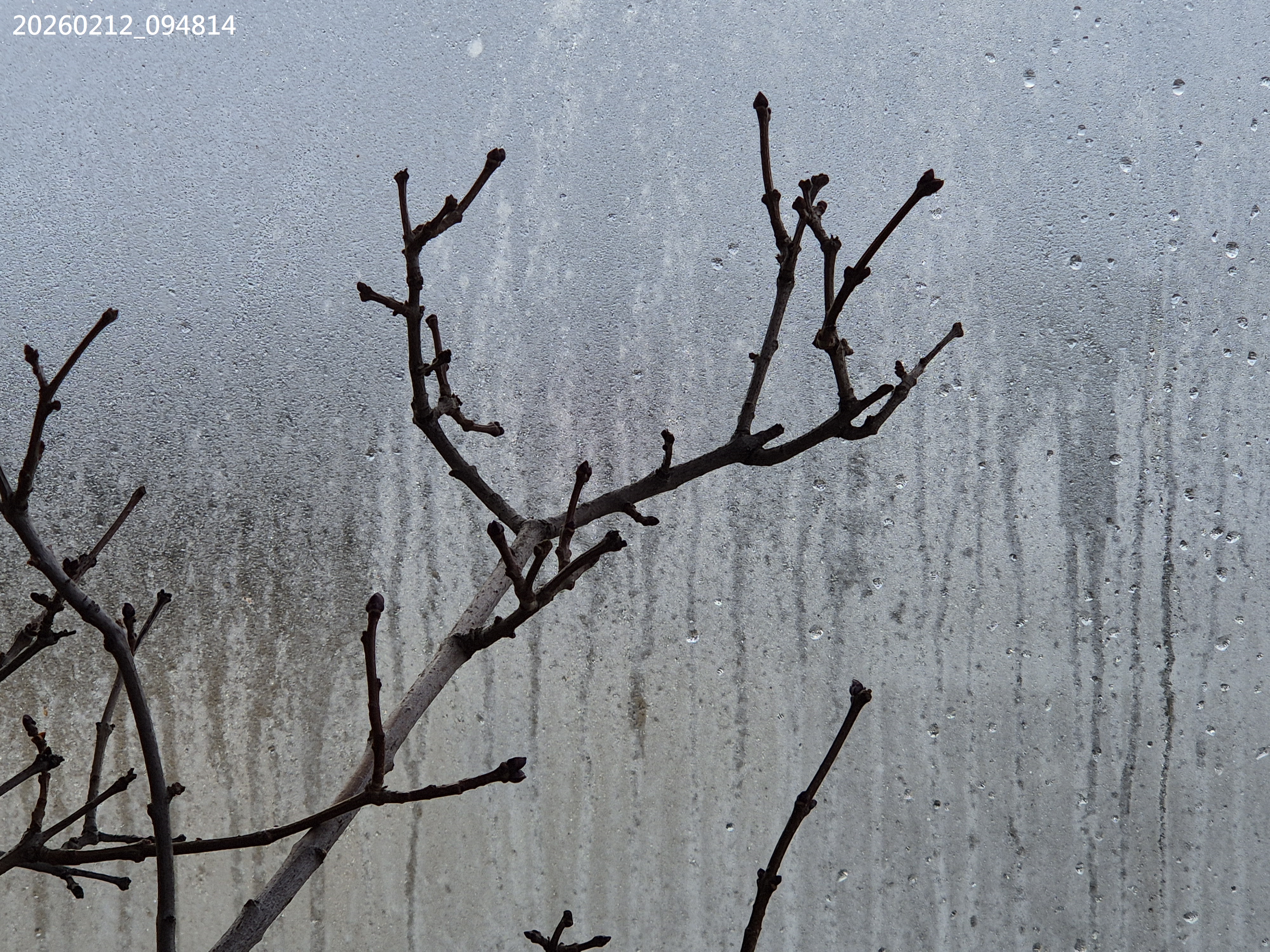 B2026_02_15