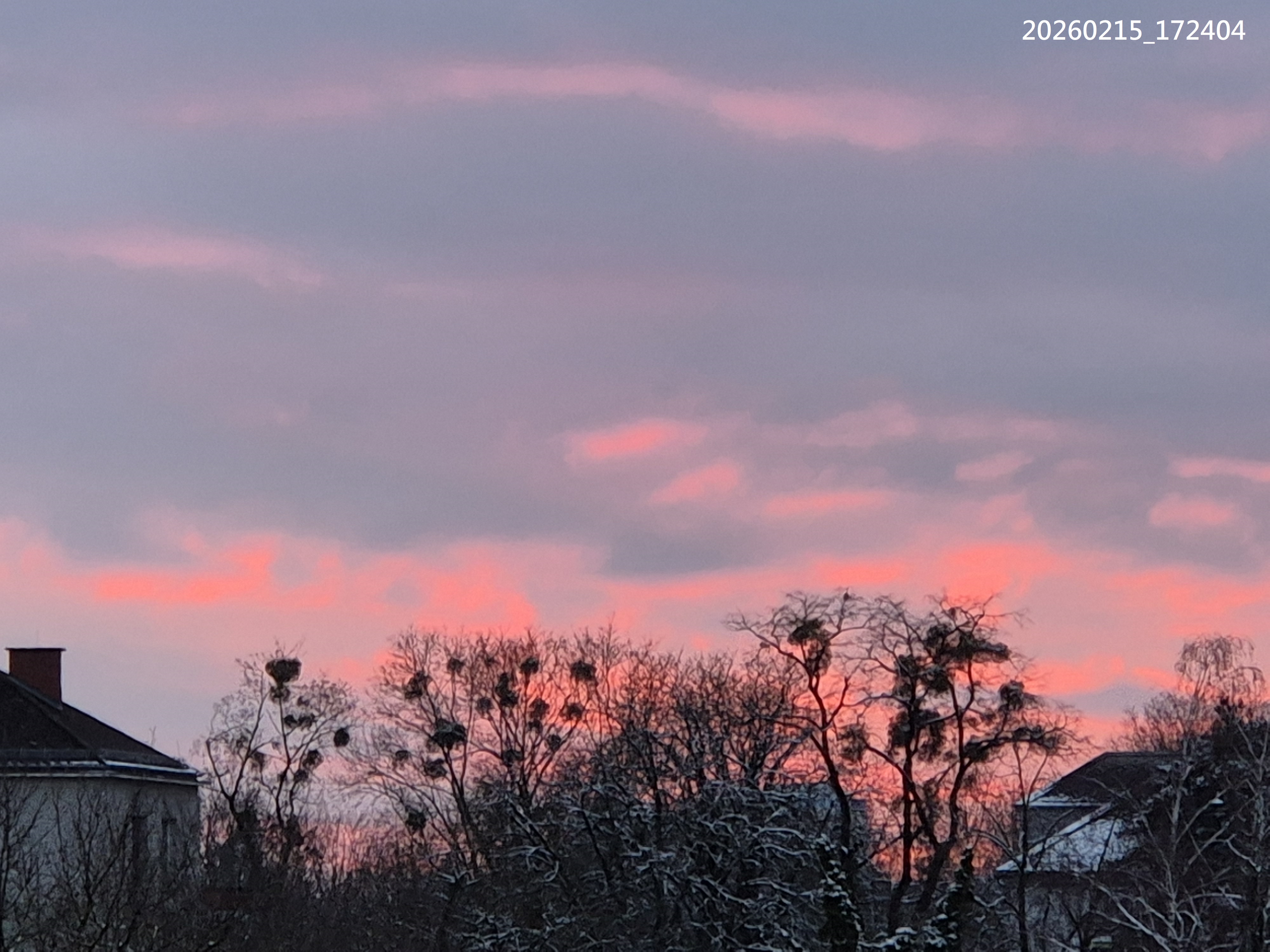 B2026_02_35