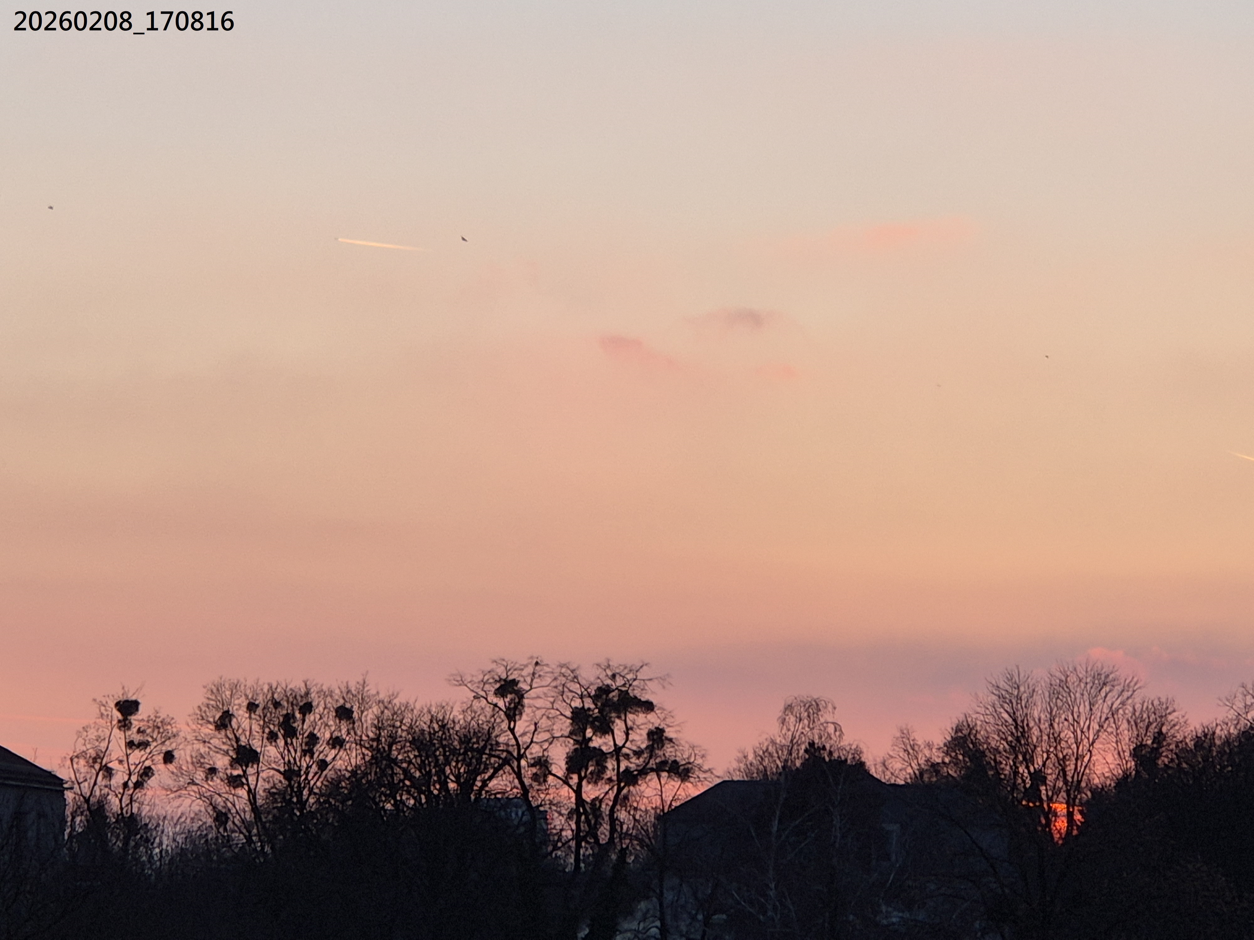 B2026_02_5