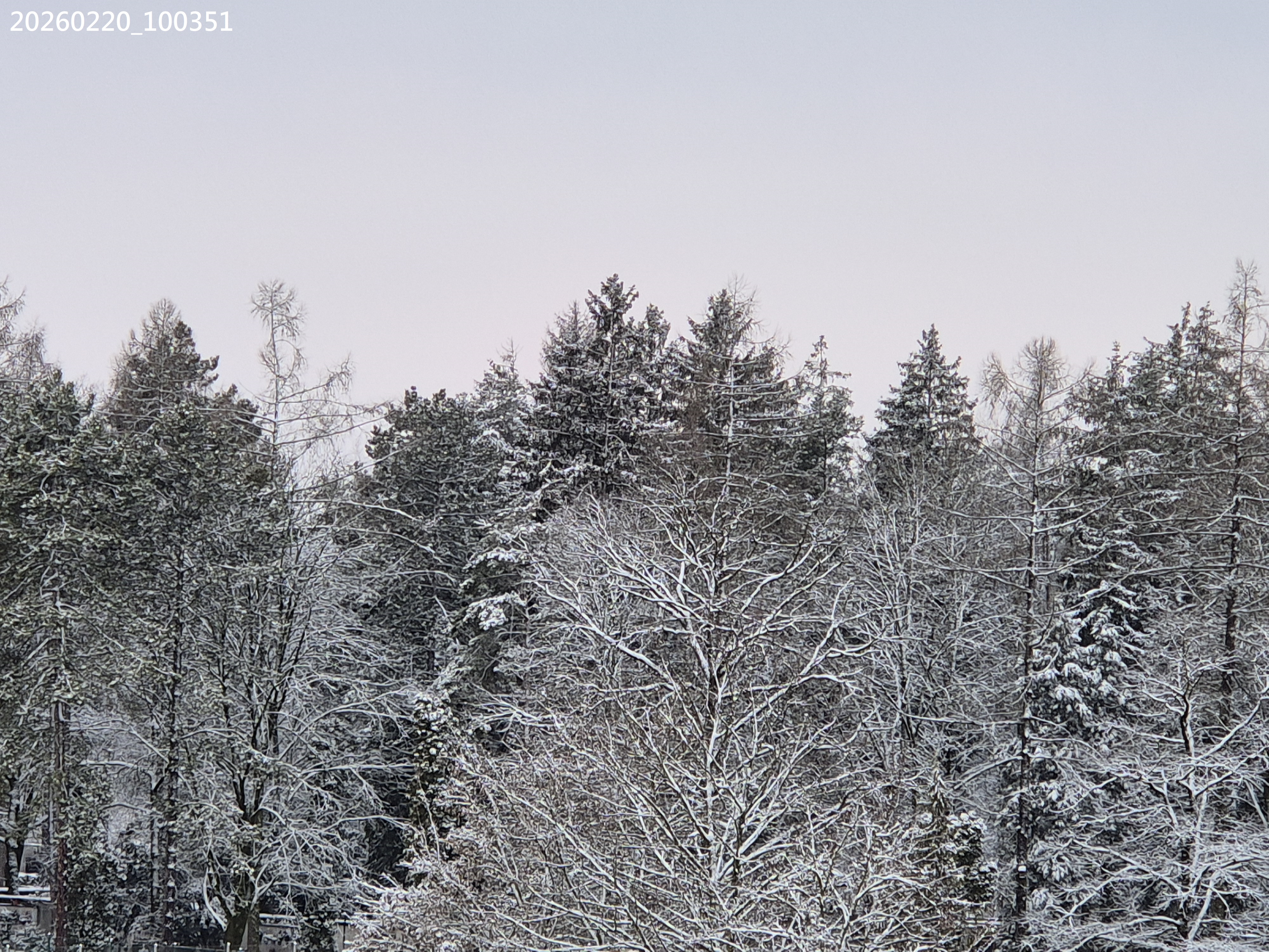 B2026_02_51