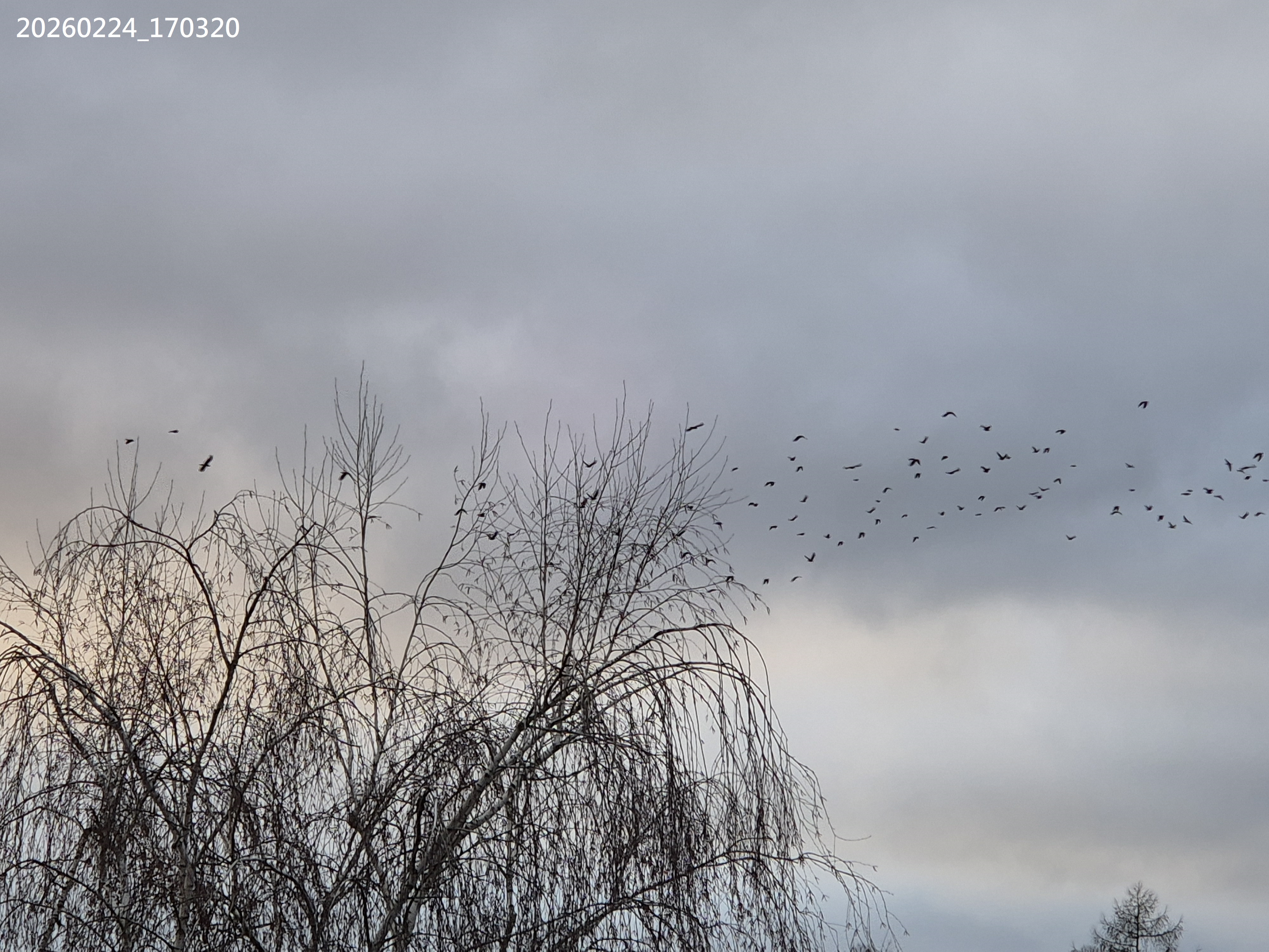 B2026_02_62