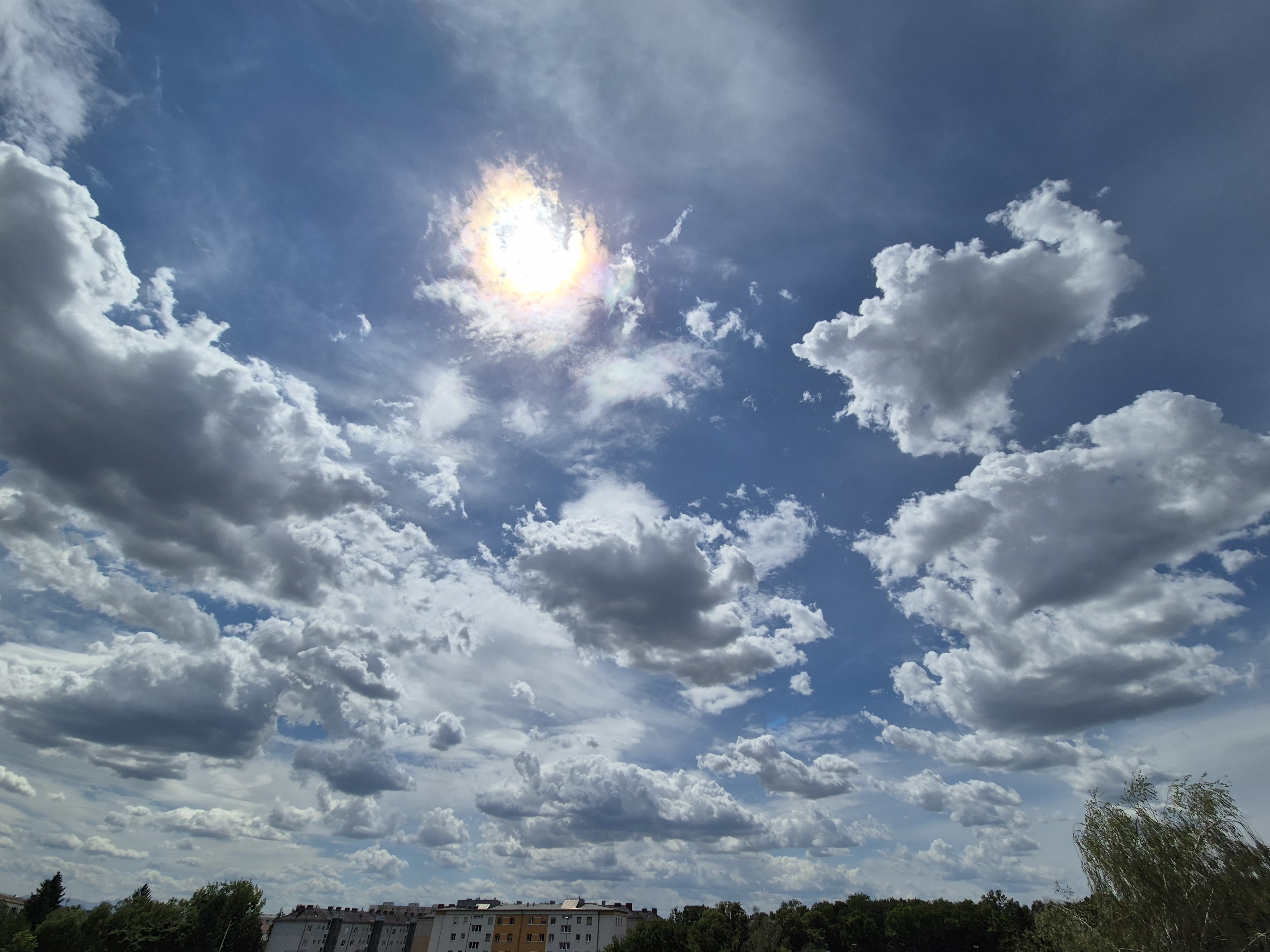 B2026_07_8