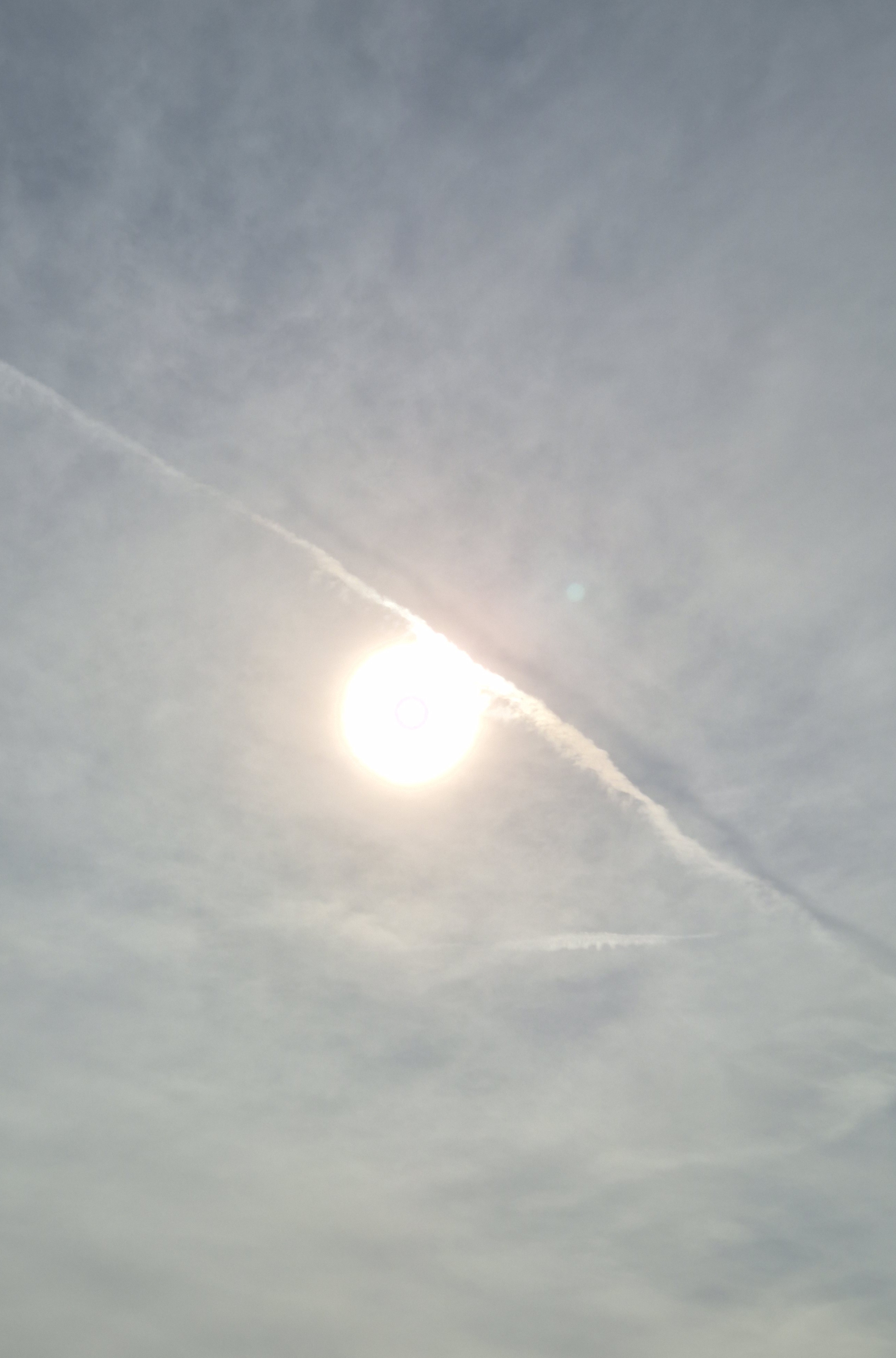 B2026_3_31