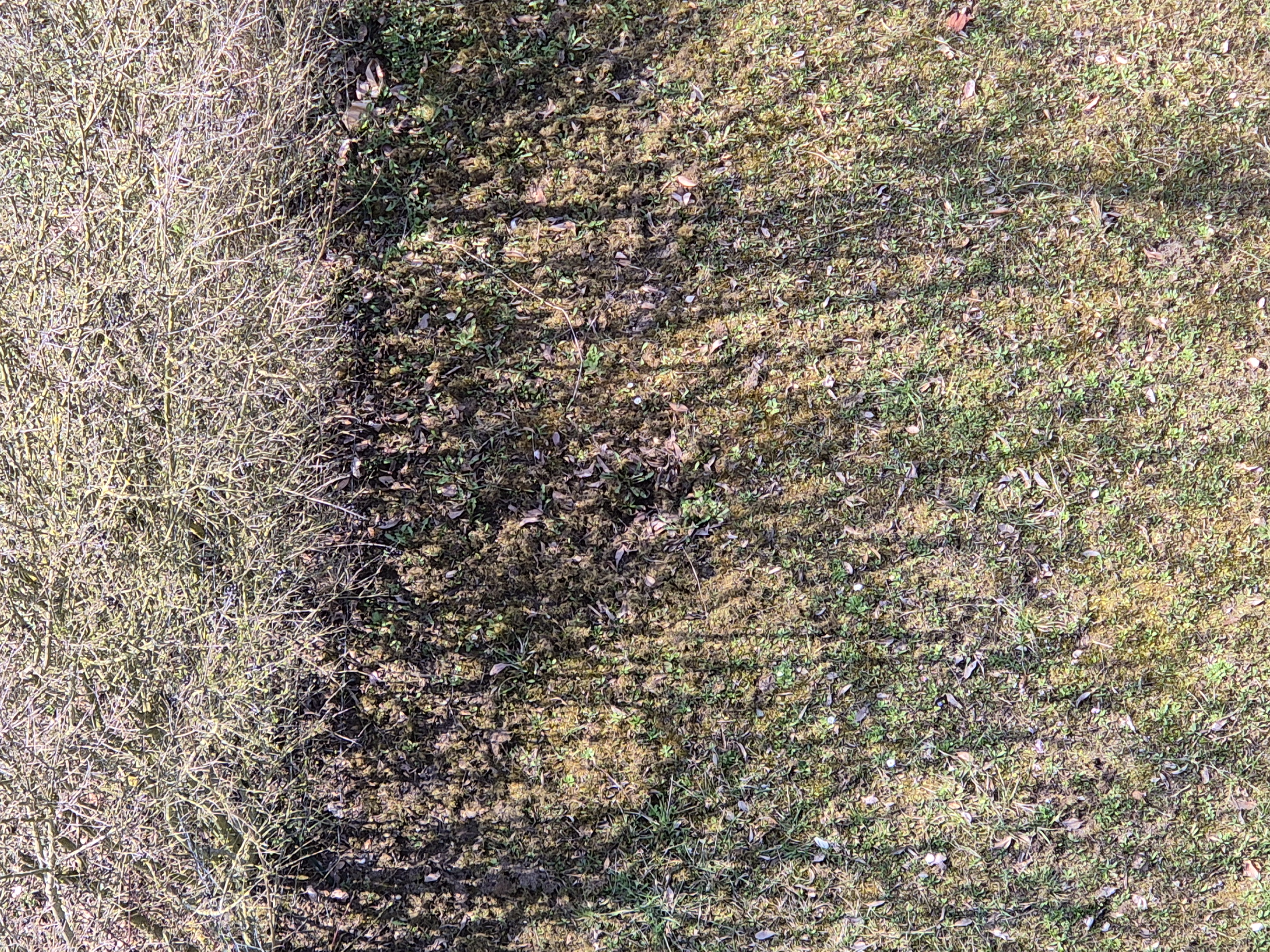 B2026_3_64
