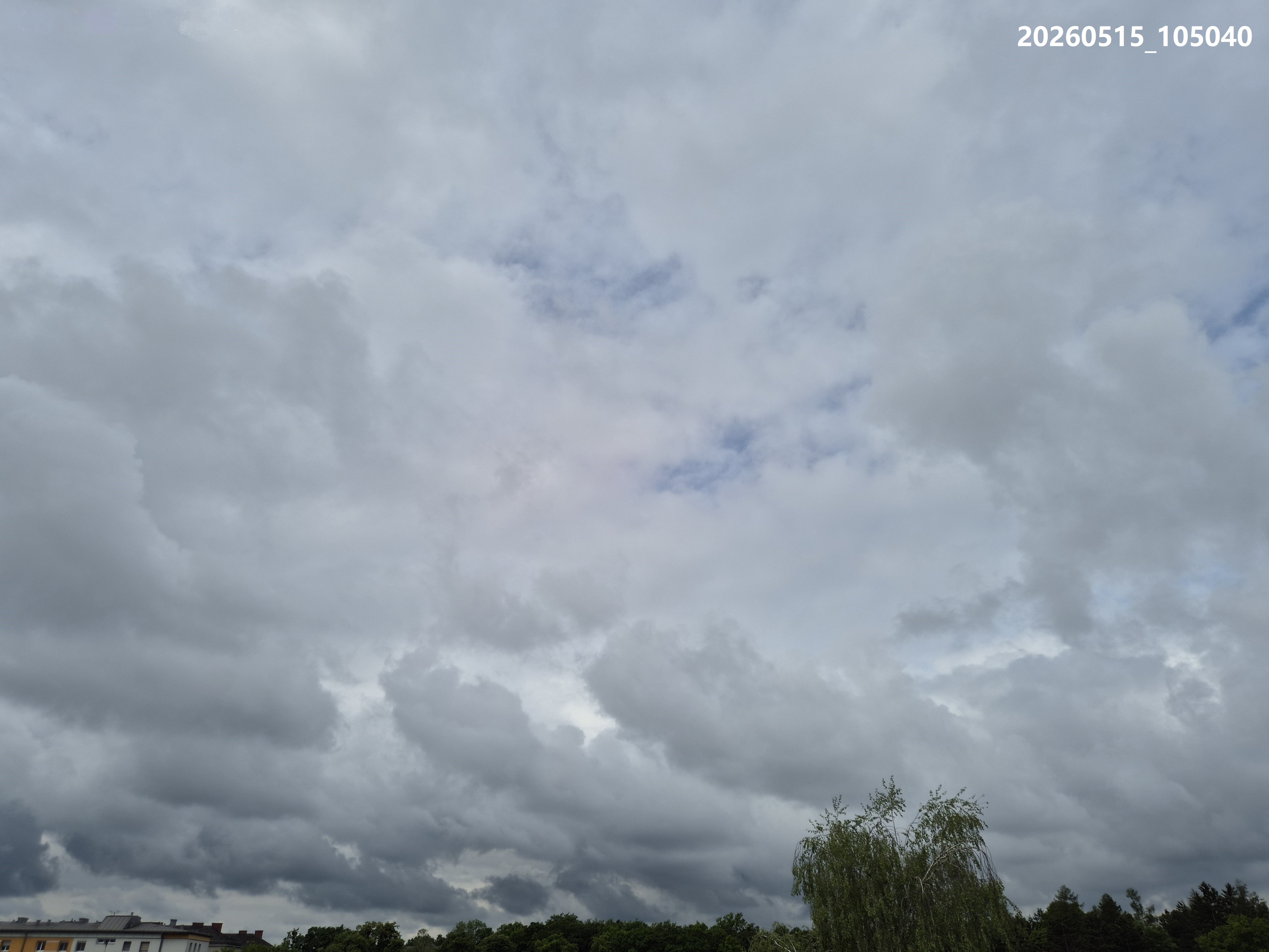 20260515_2a