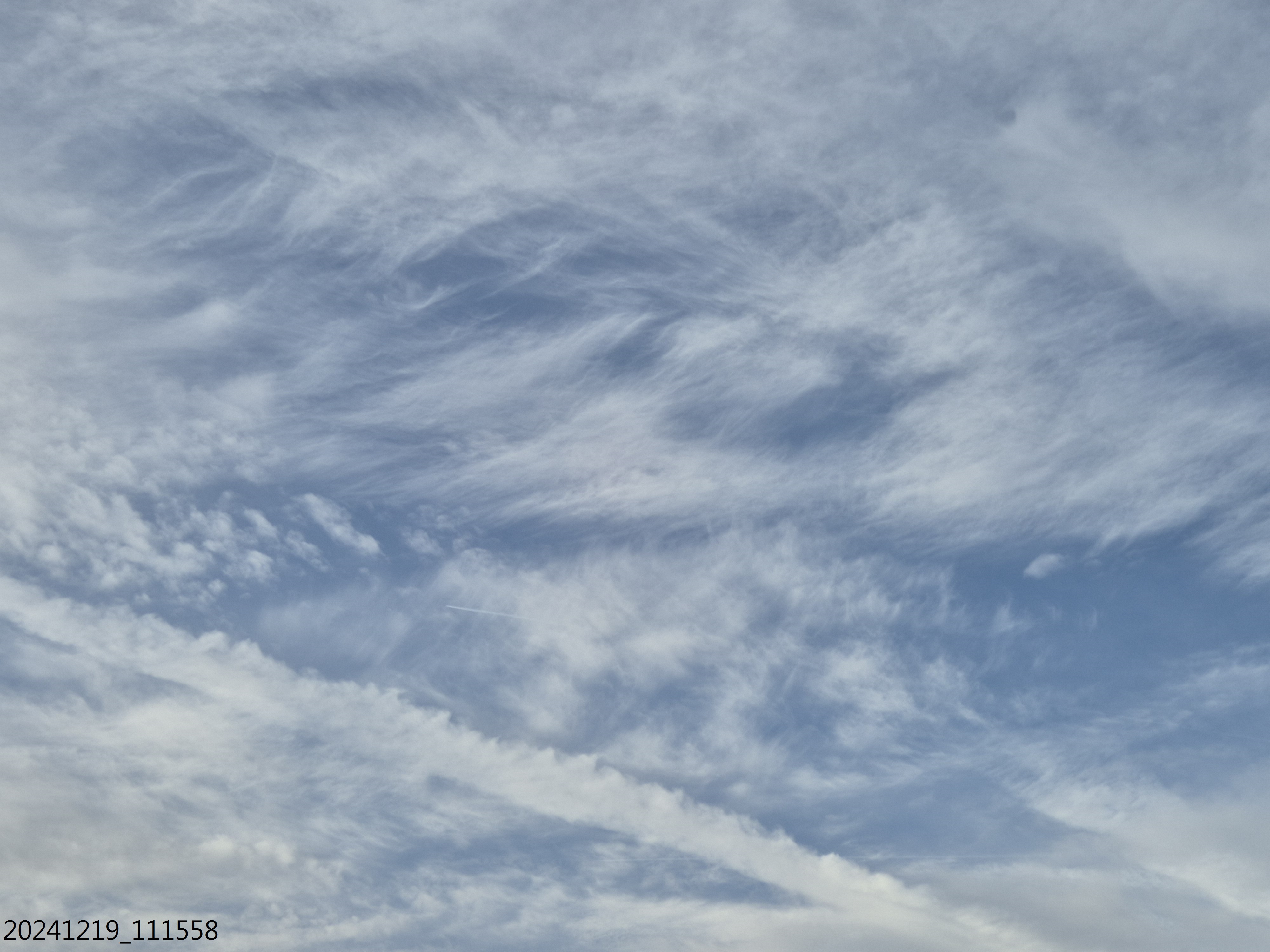 O_11_20241219